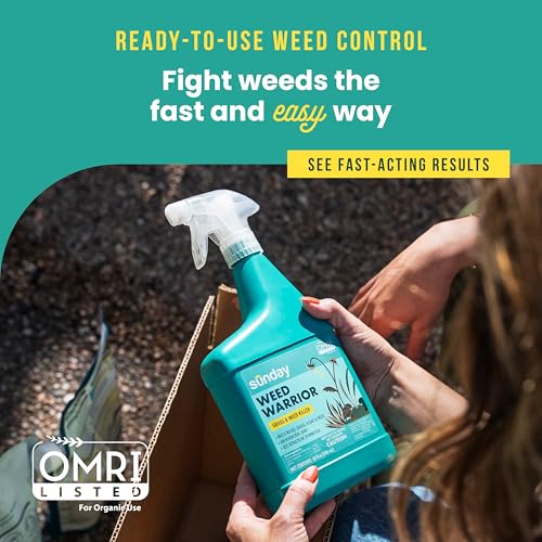 SUNDAY Weed Warrior 32oz 2 Pack Grass & Weed Killer - Organic Ready-to-Use Herbicide Spot Treatment
| SUNDAY Weed Warri