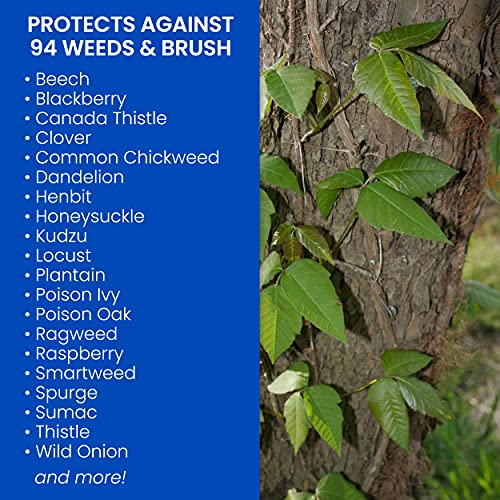 BioAdvanced Brush Killer Plus Ready-to-Spray Weed Killer, 32 oz - Kills Tough Brush Roots & Poison Ivy for Yard Weed Con