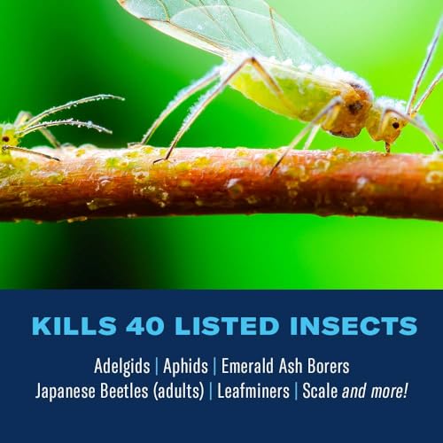 BioAdvanced 12 Month Tree and Shrub Protect and Feed Granules - Insect Killer and Fertilizer for Trees and Shrubs, 4 lb