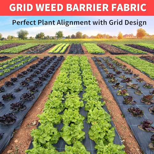 Heavy Duty Weed Barrier Fabric - Landscape Fabric for Garden, Driveway & Ground Cover, Weed Blocker Cloth
| Geo Textile