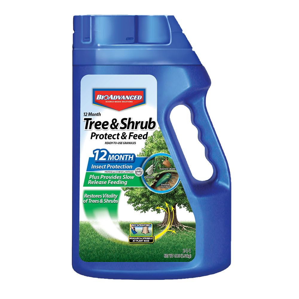BioAdvanced 12 Month Tree and Shrub Protect and Feed Granules - Insect Killer and Fertilizer for Trees and Shrubs, 4 lb