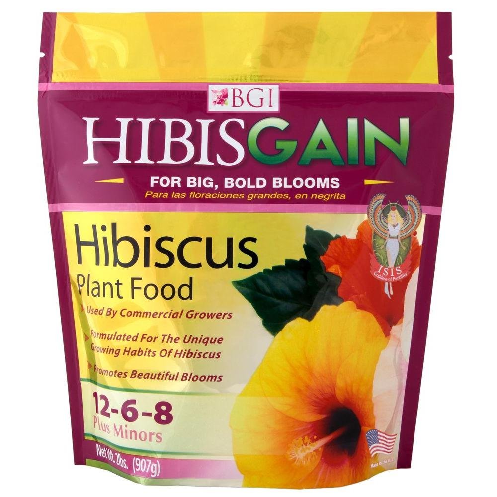 BGI HIBISGAIN 2lb Bag for Enhanced Hibiscus Plant Growth and Health
| BGI HIBISGAIN 2lb Bag - Perfect Hibiscus Fertiliz